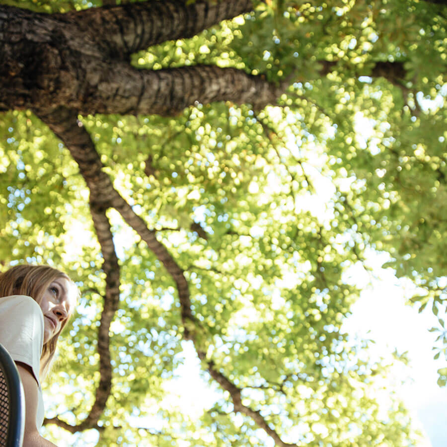 Rascheln der Baumkronen 