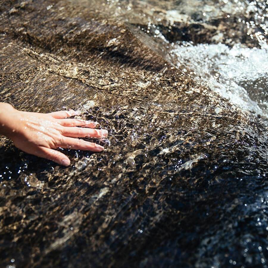 Ein Freund und Begleiter.