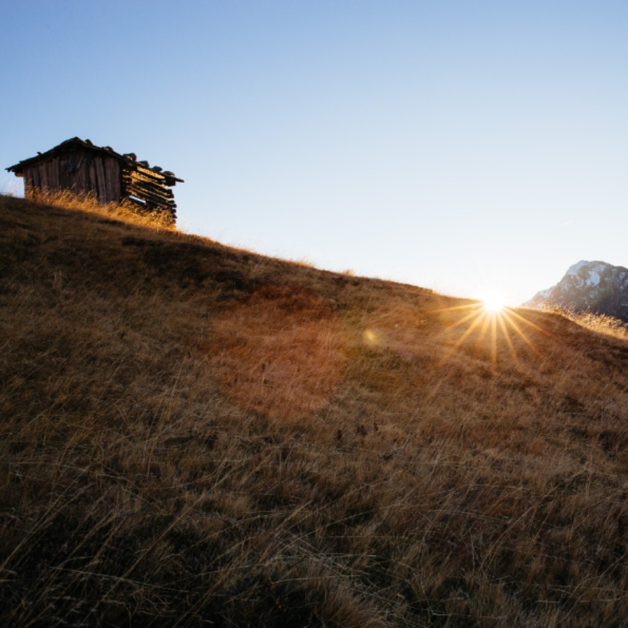 Autumn gently touches winter - Special offer 5=4